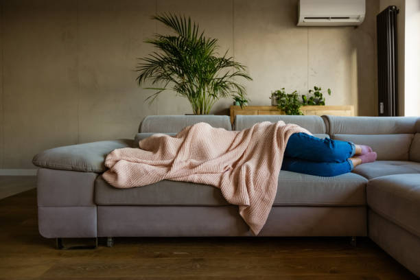 Sofa Beds