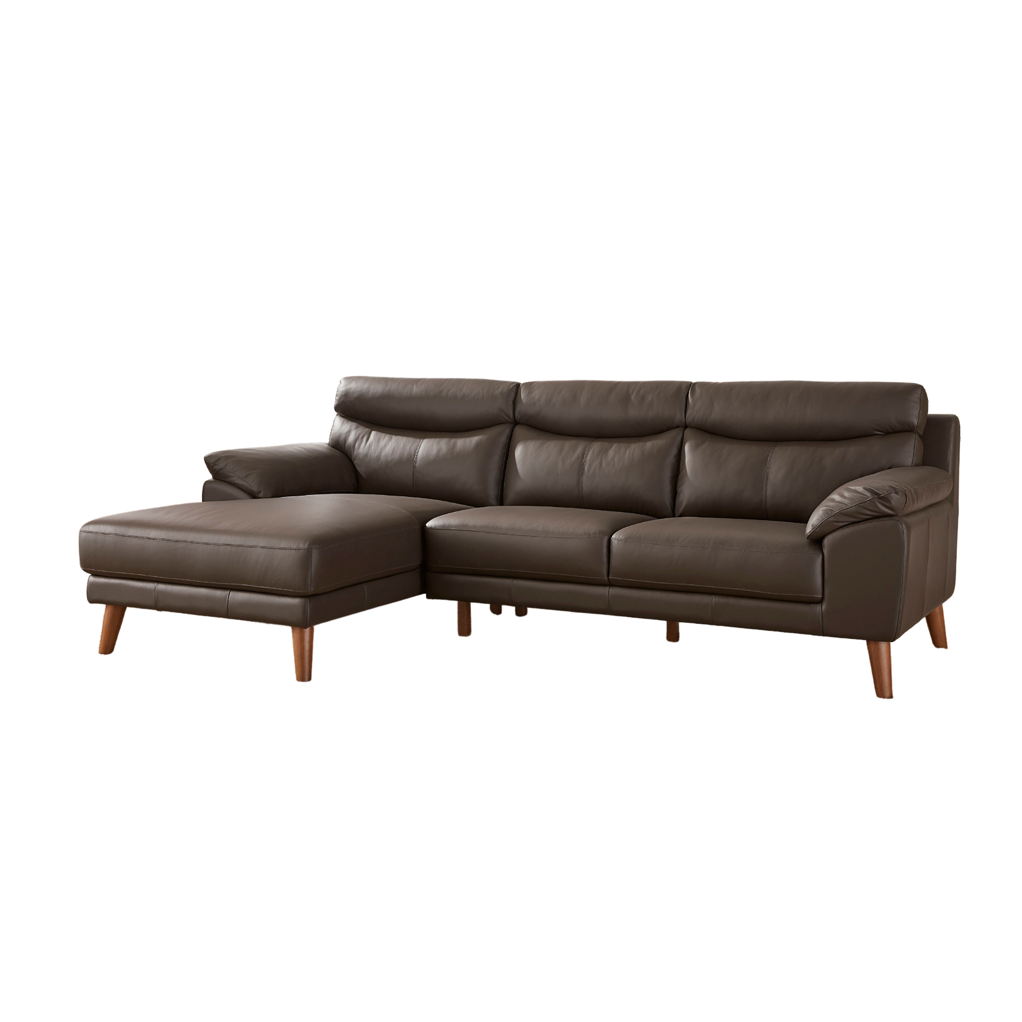 Duncan Sectional with Chaise