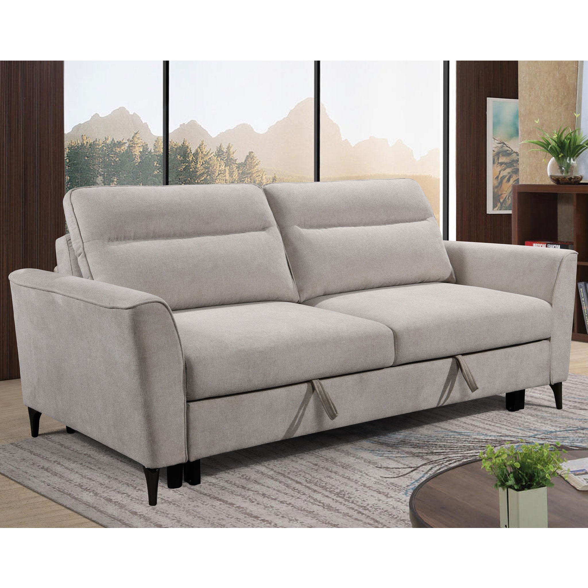 Angiola Loveseat with Media Sleeper