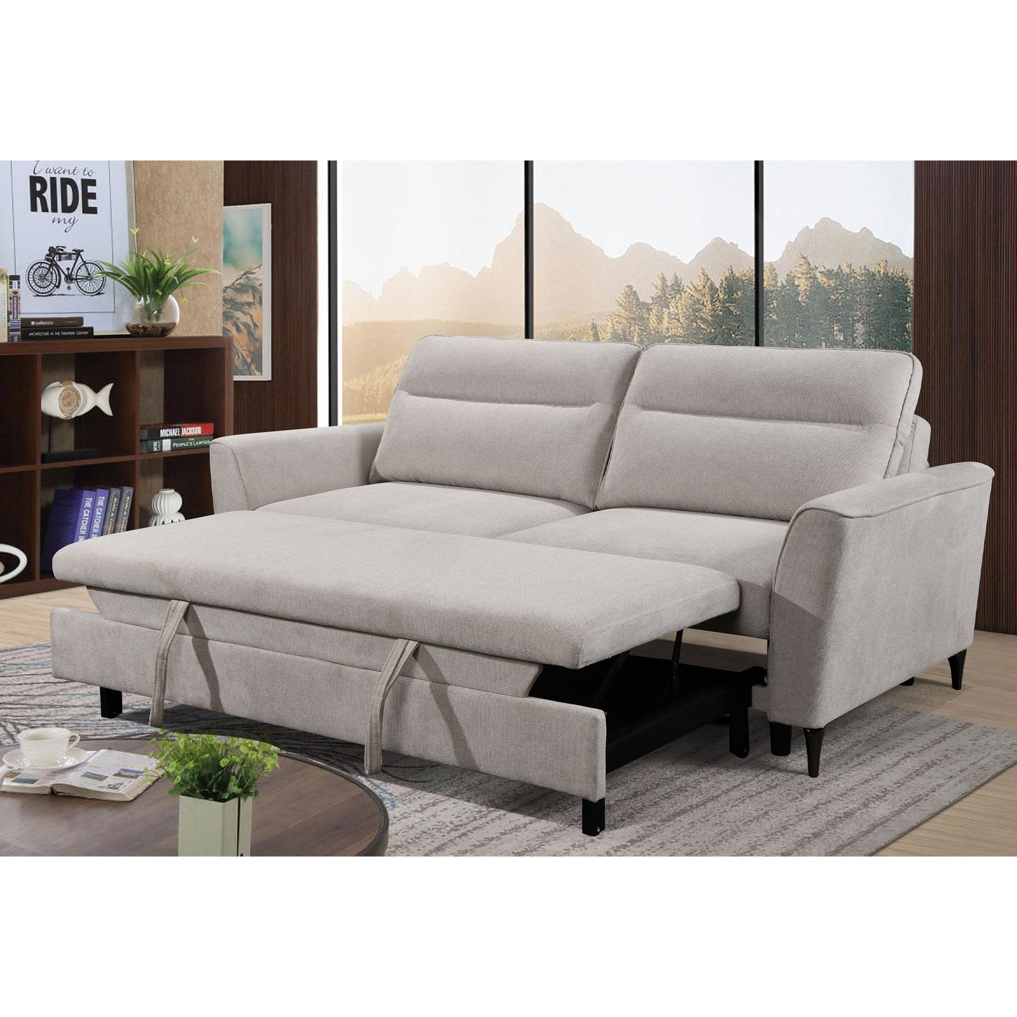 Angiola Loveseat with Media Sleeper